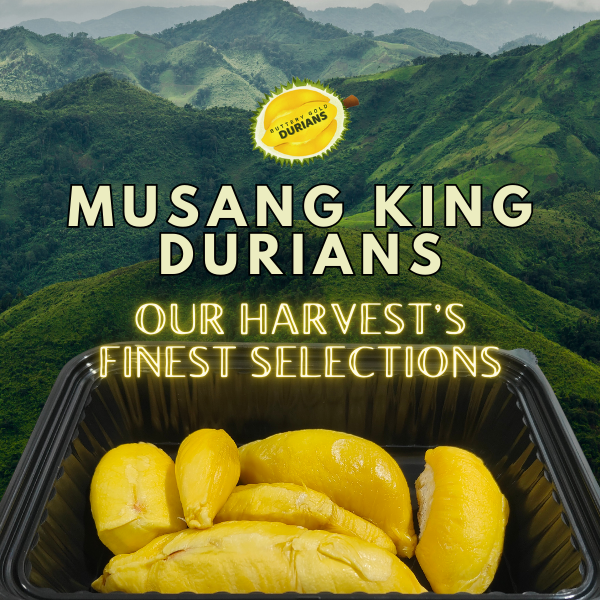 Musang King MSW Durians - Our Harvest's Finest Selections 800g pulp