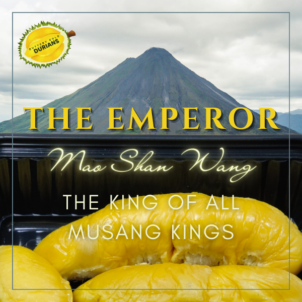 Ultimate Musang King Durian - The Emperor, The Raja, The Lord of MSW 800g pulp