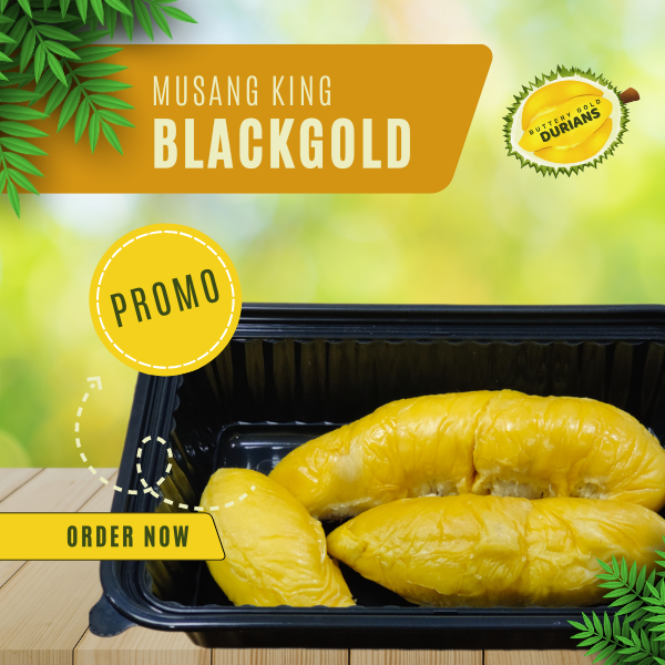 Ultimate Musang King Durian - The Emperor, The Raja, The Lord of MSW 800g pulp